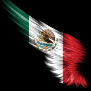 Meet your Posher, Ricardo